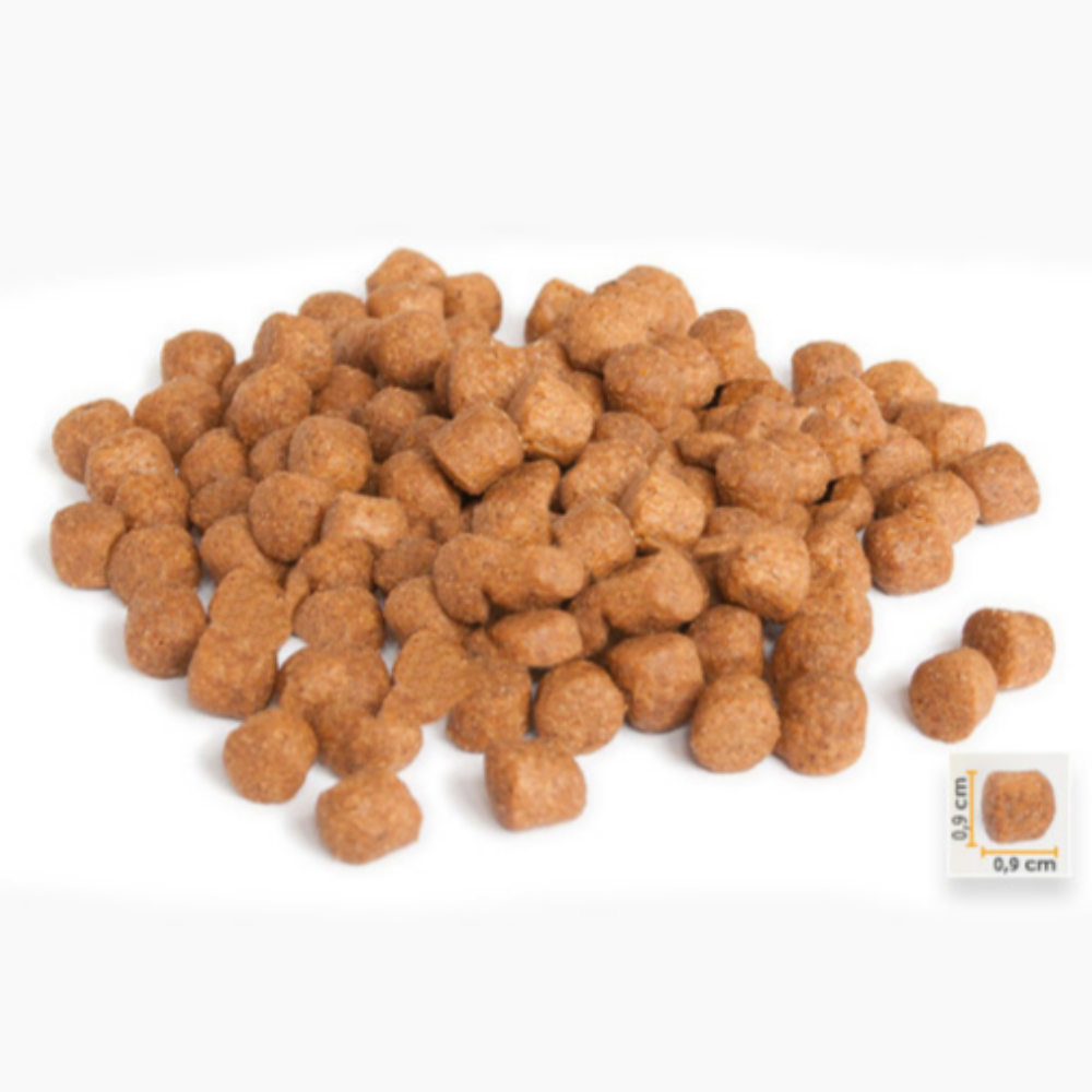 미쵸 터키산 고양이 사료 치킨 어덜트, 1.5kg, 1개