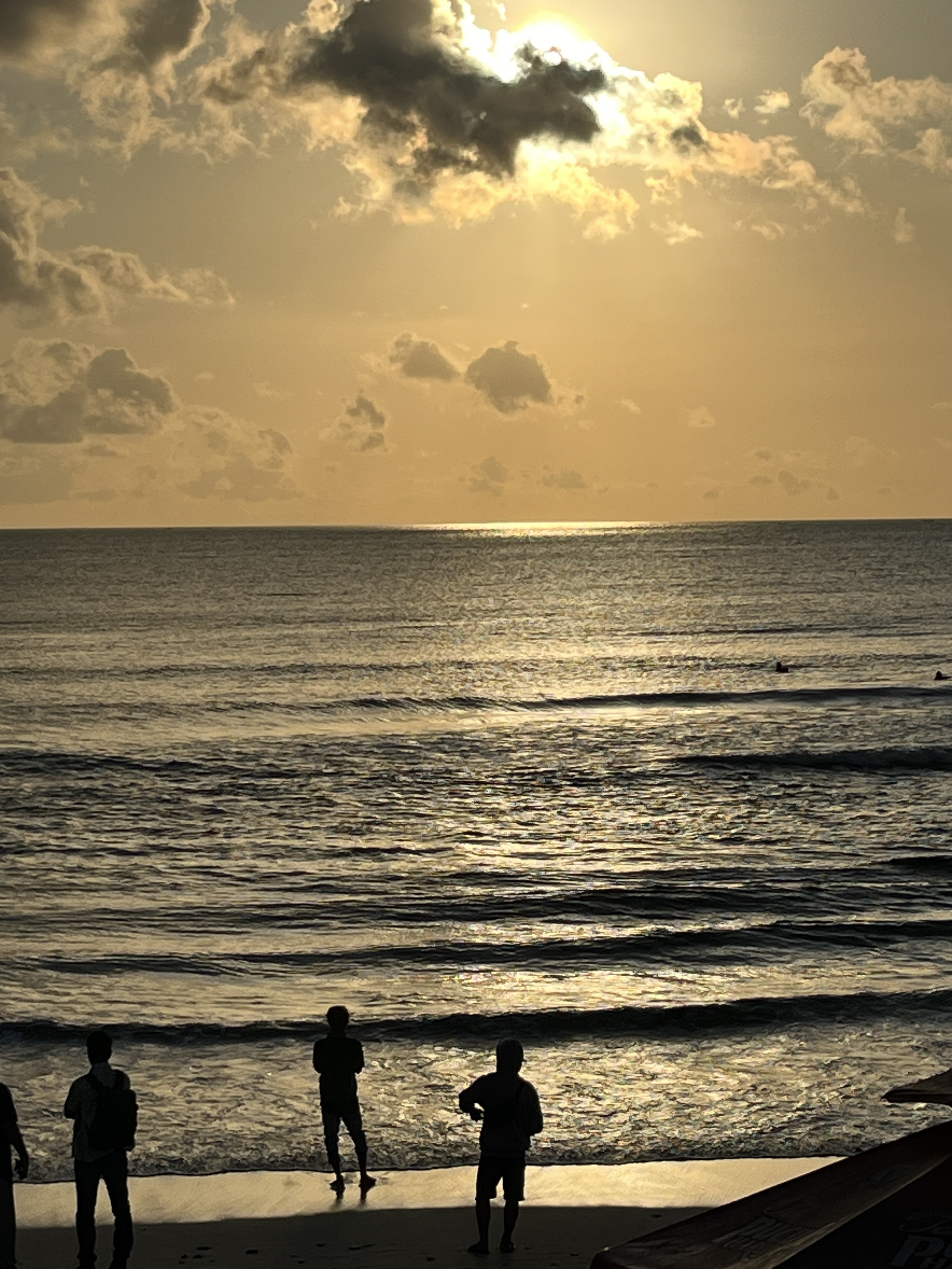[발리] 발리 체크아웃투어 새벽출발 마지막날 패키지 픽업샌딩 택시투어 남부 우붓 일일