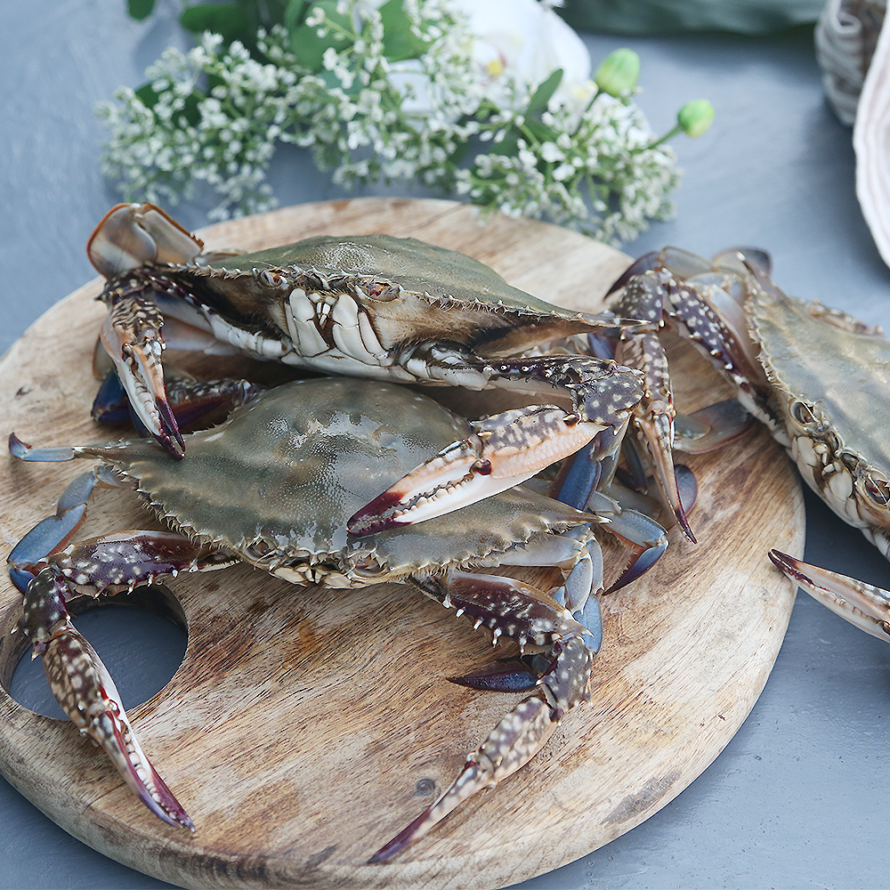 제철 꽃게 1kg 2kg 3kg 가을 봄 활꽃게 숫꽃게 암꽃게 냉동 급냉 절단 상품 이미지