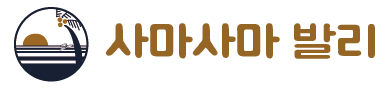 [발리] 발리 블루라군 스노쿨링 고프로 촬영 픽업드랍 해양 수상 액티비티 체험 산호 열대어