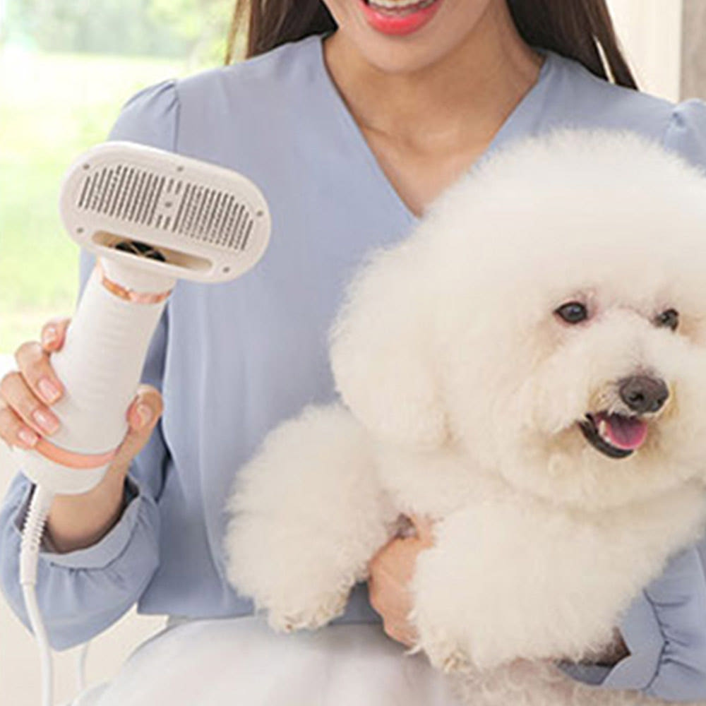 댕댕살롱 페페 드라이어 강아지 고양이 펫 애견 드라이기 건조기 털 말리기