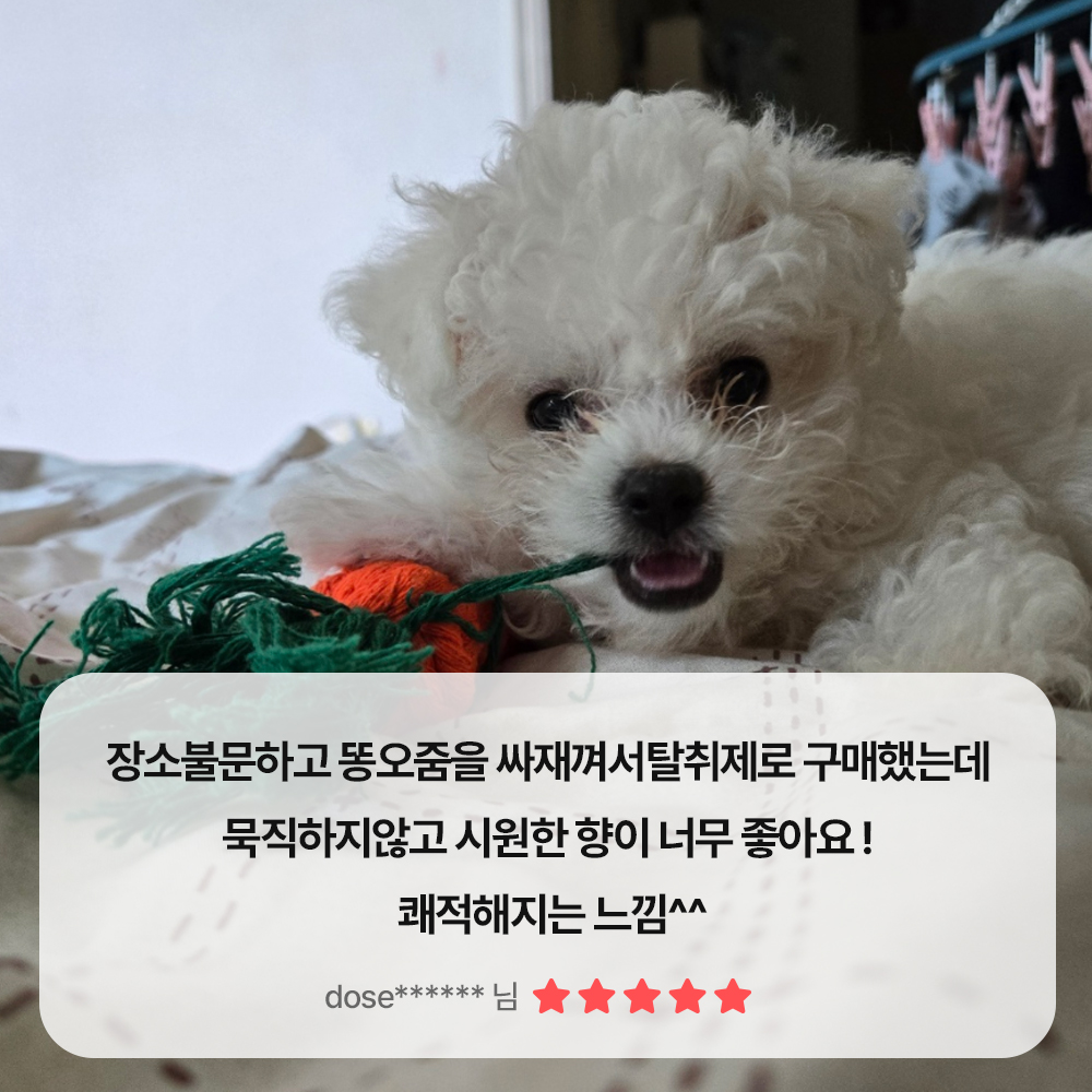 순수백과 강아지 탈취제 애견 반려 동물 펫 고양이 오줌 똥 배변 냄새제거 제거제 1L - 상세 이미지 5