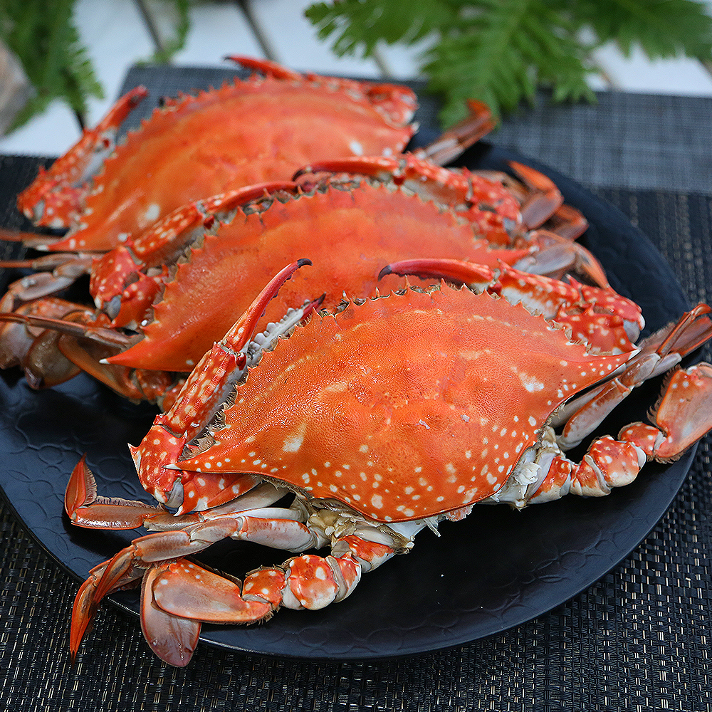 제철 꽃게 1kg 2kg 3kg 가을 봄 활꽃게 숫꽃게 암꽃게 냉동 급냉 절단 상품 이미지
