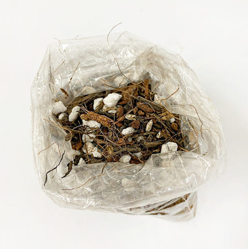 친환경 커피박 화분 화초심기 DIY 키트 환경교육 애플하우스 - 상세 이미지 2