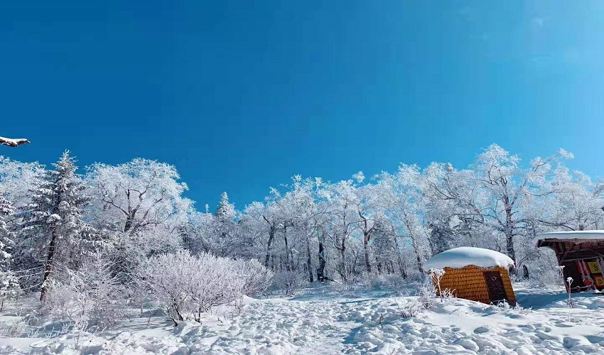 [연길] 로리커호 겨울 눈여행 데이투어 - 눈꽃 설경 트레킹 당일여행 - 상세 이미지 3