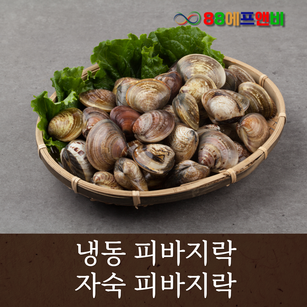 냉동 바지락 피바지락 5kg(500g x 10팩) 바지락 칼국수 봉골레 손질바지락 자숙바지락