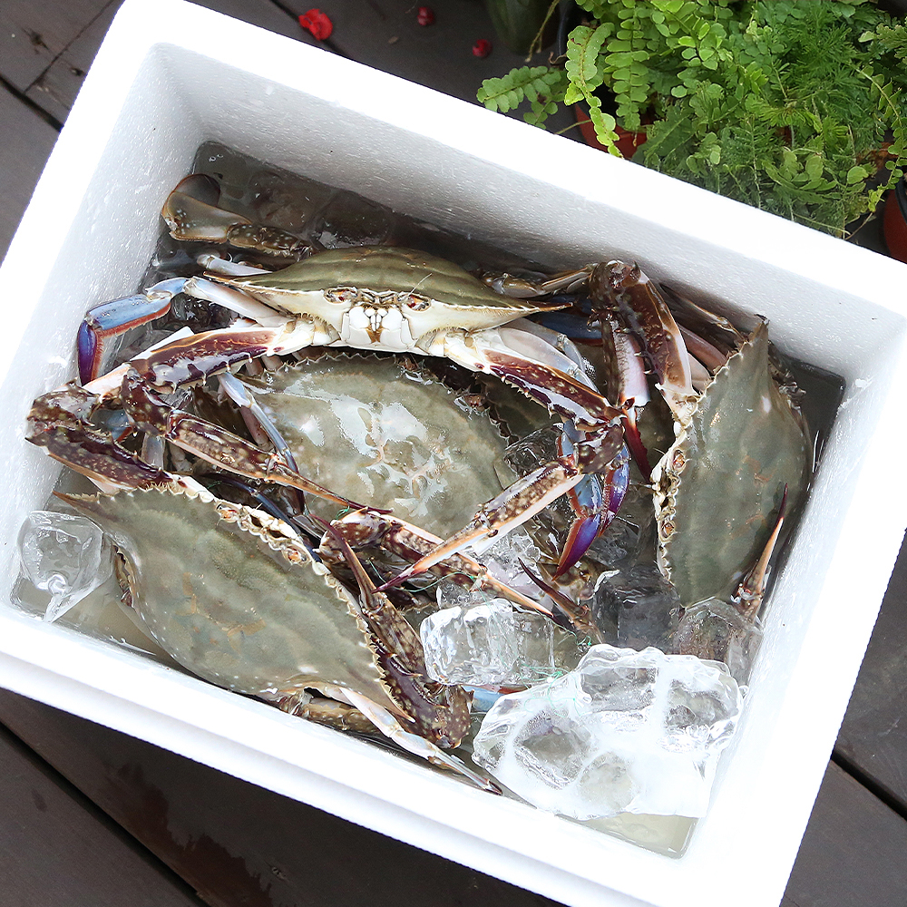 제철 꽃게 1kg 2kg 3kg 가을 봄 활꽃게 숫꽃게 암꽃게 냉동 급냉 절단 상품 이미지