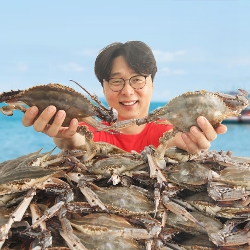 제철 꽃게 1kg 2kg 3kg 가을 봄 활꽃게 숫꽃게 암꽃게 냉동 급냉 절단 상품 이미지