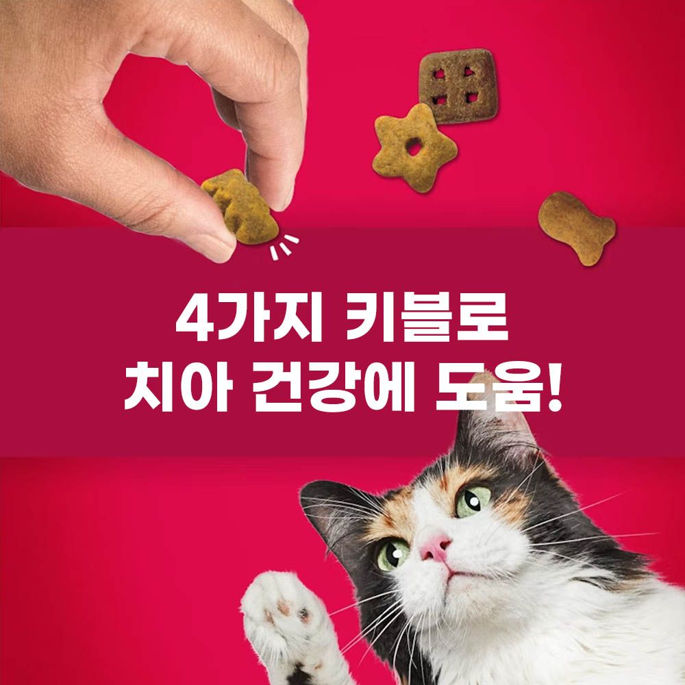 프리스키 파티믹스 믹스그릴 60g x 10개 - 상세 이미지 4