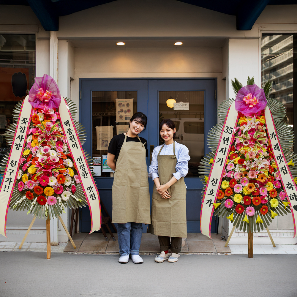 관엽식물 금전수 화환 승진 취임 동양난 서양란 만천홍 영전 축하 선물 개업화분 공기정화