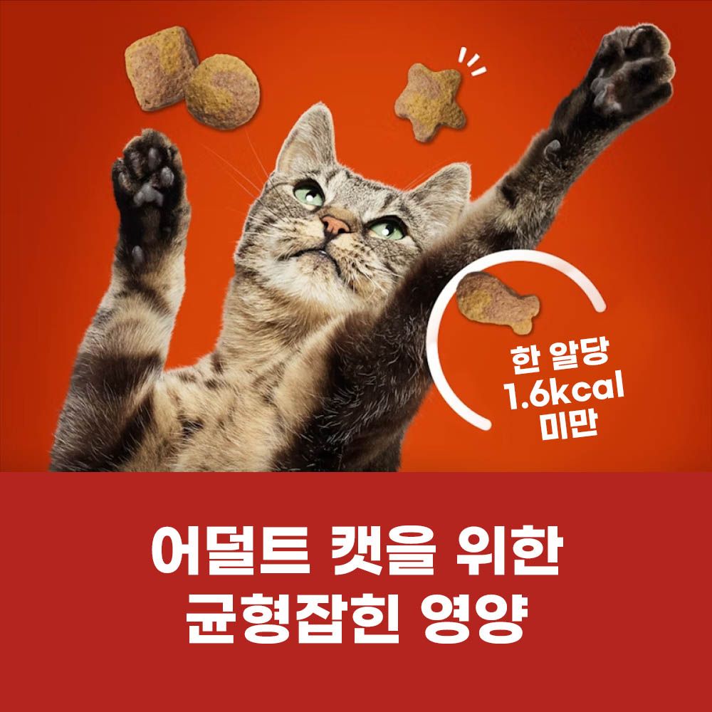 프리스키 파티믹스 치킨 그레이비 60g x 10개 - 상세 이미지 3