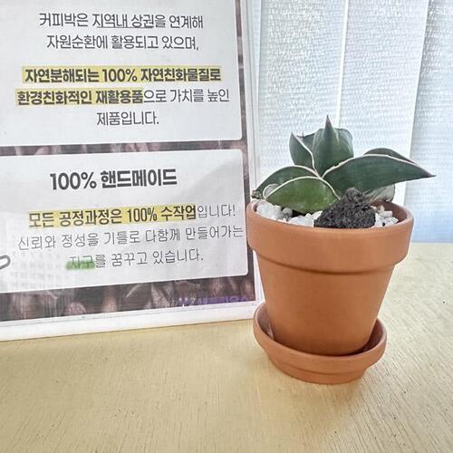 황토 화분 화초심기 DIY 키트 환경교육 애플하우스 - 상품 이미지