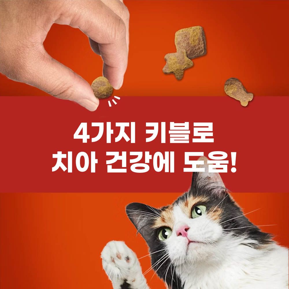 프리스키 파티믹스 치킨 그레이비 60g x 10개 - 상세 이미지 4