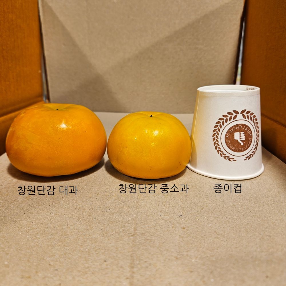 단감 아삭아삭 못난이 창원 단감 10kg 중소과 중과 대과 - 상세 이미지 2