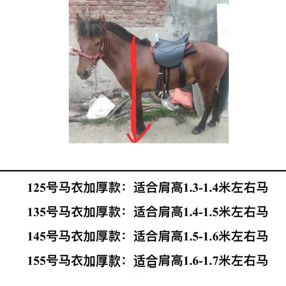 말 방한복 경주마 겨울 옷 체온유지 농장 외투 가축 - 상세 이미지 5