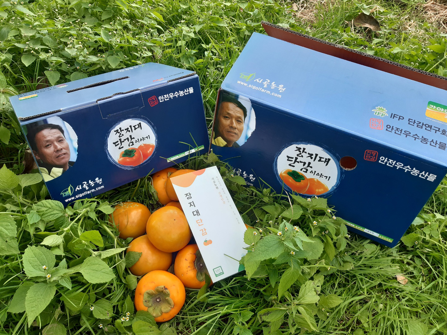 단감 진영단감 태추 감 부유 대봉 홍시 5kg 10kg 시골농원