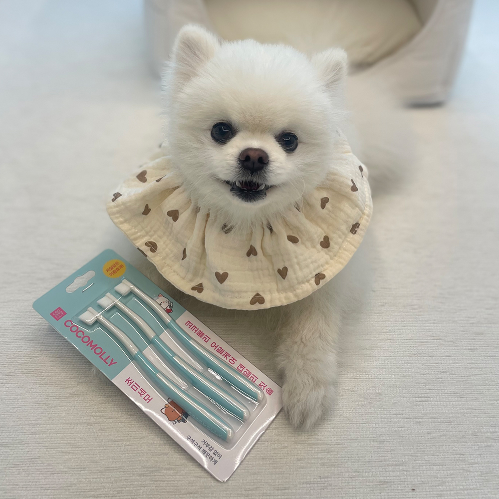 코코몰리 강아지 고양이 칫솔 구내염 치석 입냄새 플라그 치약 초미세모 논슬립 오랄케어 이미지 7