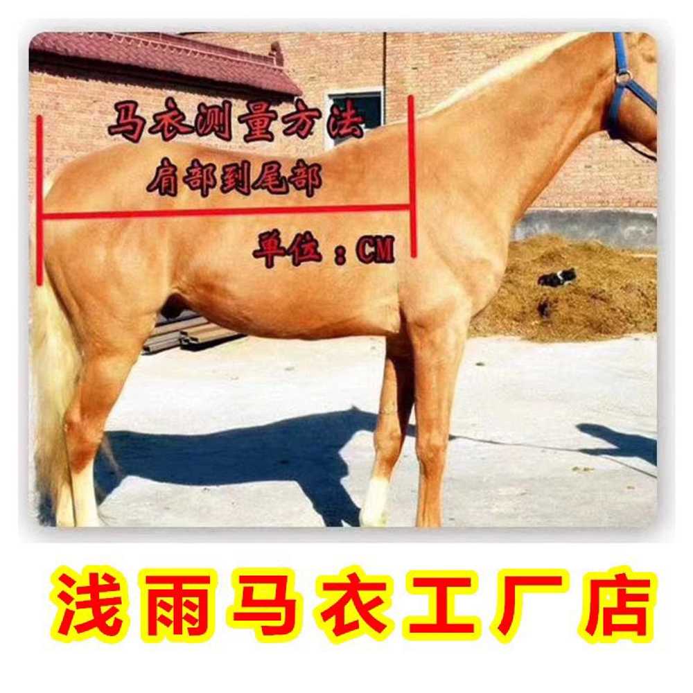 말 방한복 경주마 겨울 옷 체온유지 농장 외투 가축 - 상세 이미지 3