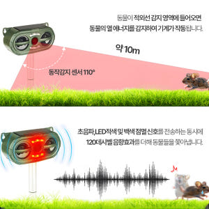 멧돼지 퇴치기 야생동물 퇴치 고라니 조류 뱀 고양이 쥐 두더지 태양광 까... 개봉기 | 실사용 후기 - 상품 이미지 4