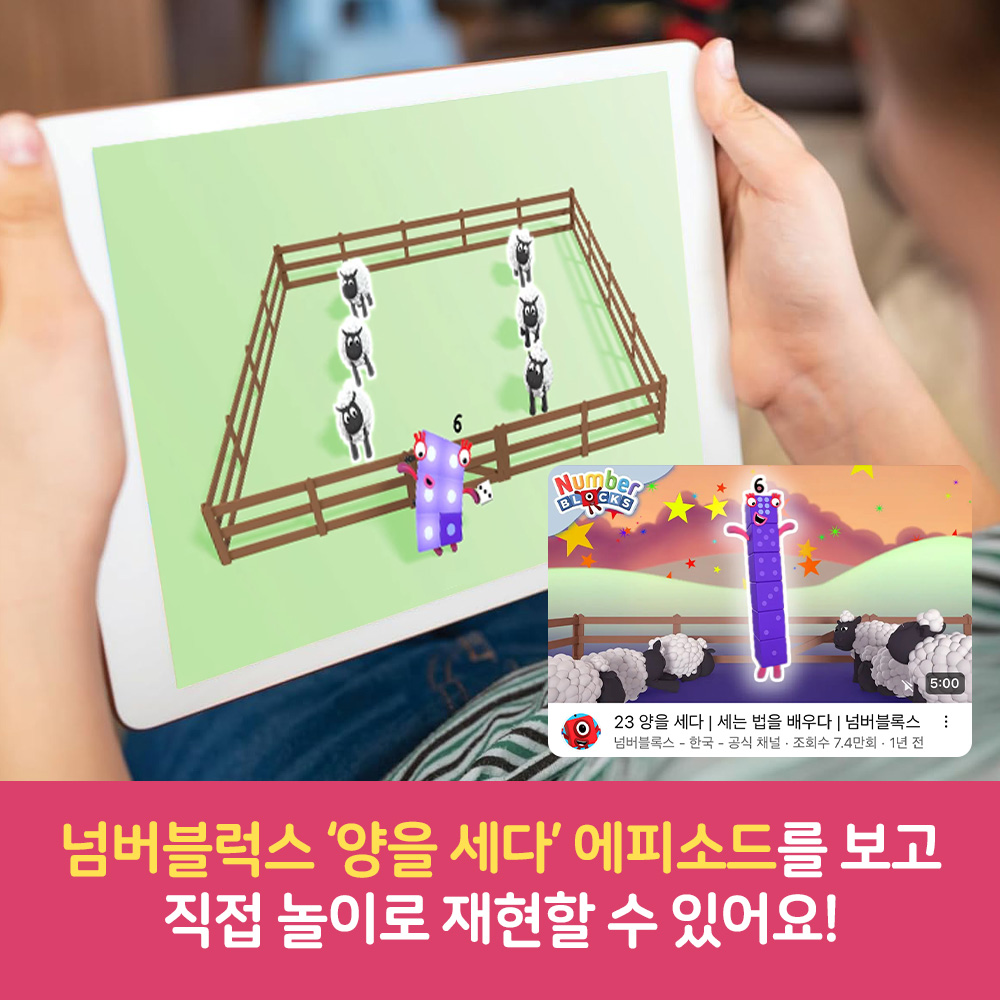 넘버블록스 양 떼 목장 수교구 넘버블럭스블럭 매쓰링크 이미지 7