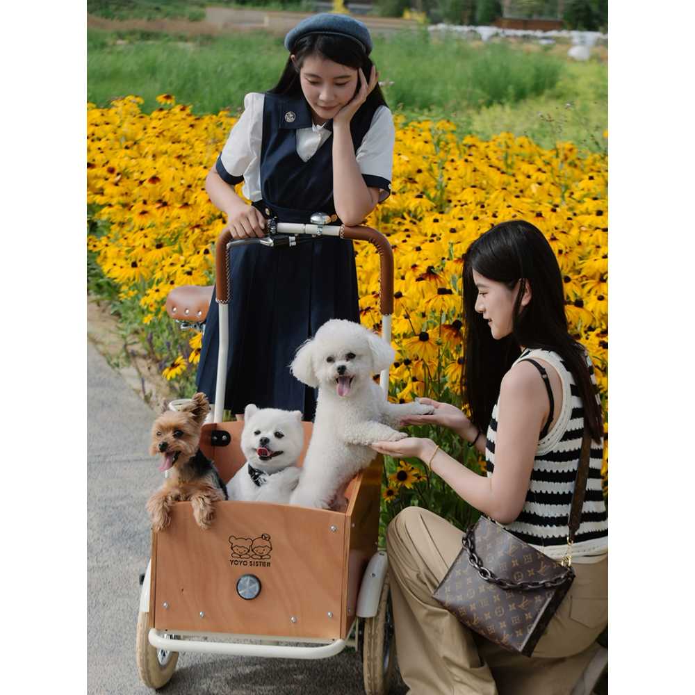 애완동물 바구니 자전거 펫자전거 짐자전거 아동용 - 상세 이미지 4