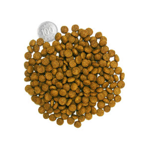 슈슈 세븐웰 4.5kg 7가지 기능 전연령 강아지사료 솔직 후기 | 실제 사용자 리뷰 총정리 - 상품 이미지 2