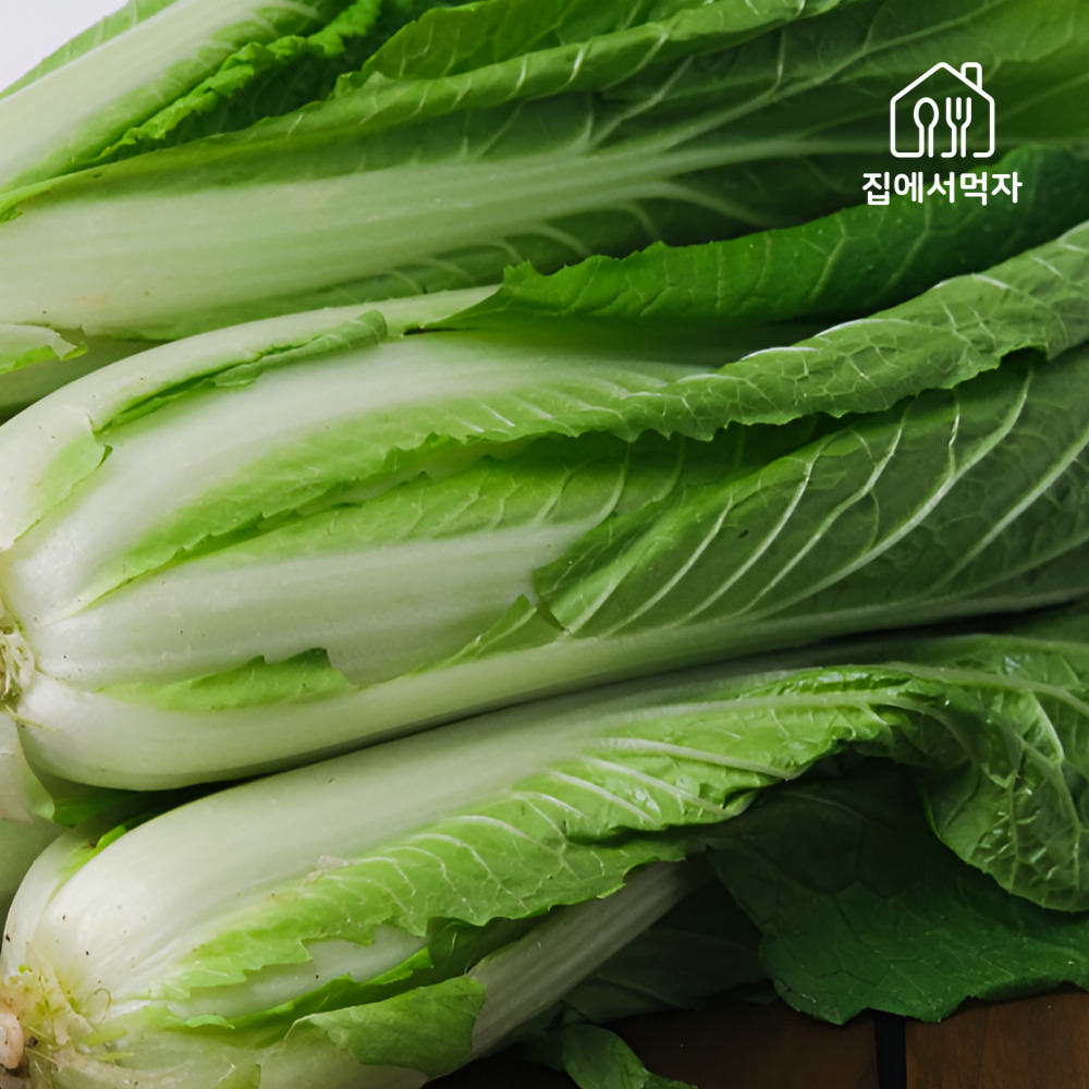 국산 얼갈이 알배기 칼국수 마늘 배추 겉절이 김치 2kg - 상세 이미지 5