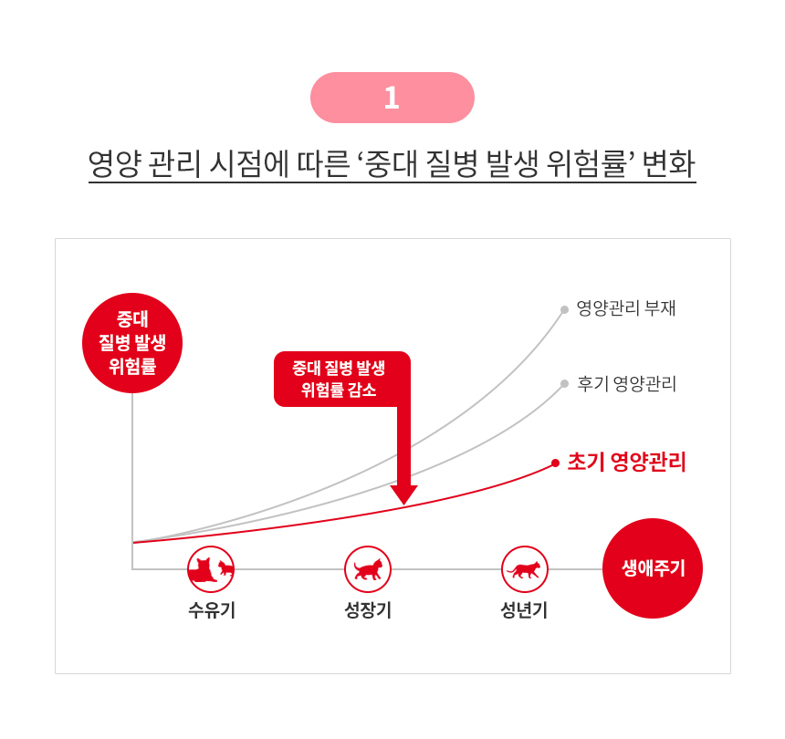 로얄캐닌 마더 앤 베이비 캣 울트라 소프트 무스 트레이 1박스(100G X 24개입) - 상세 이미지 5