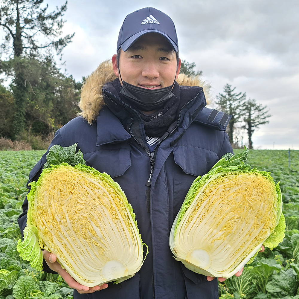 소복김치 국산 우리농산물 100% 김장김치 배추김치 주문 2kg - 상세 이미지 4