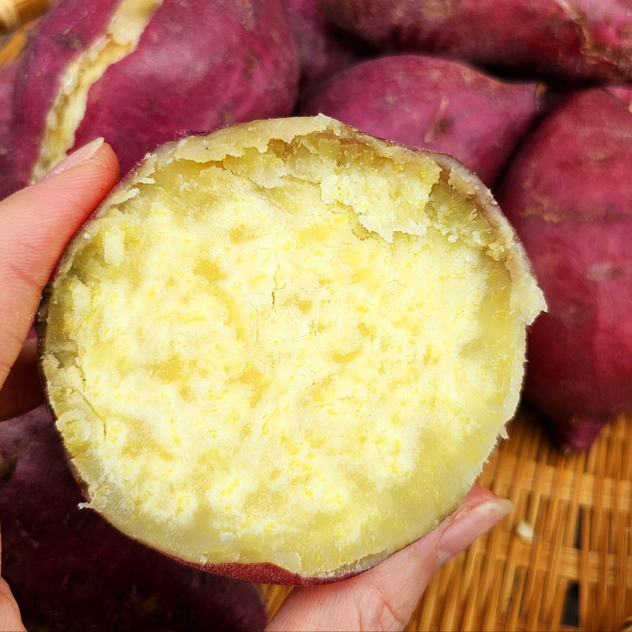 25년 황토 햇밤고구마 3kg 익산 햇고구마 이미지 2