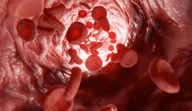 도깨비차 여주티백 30ea 효능 혈당관리 식단 돼지감자 식후 당뇨에 좋은 차 음료 [원산지:국산(경상북도 구미시)]