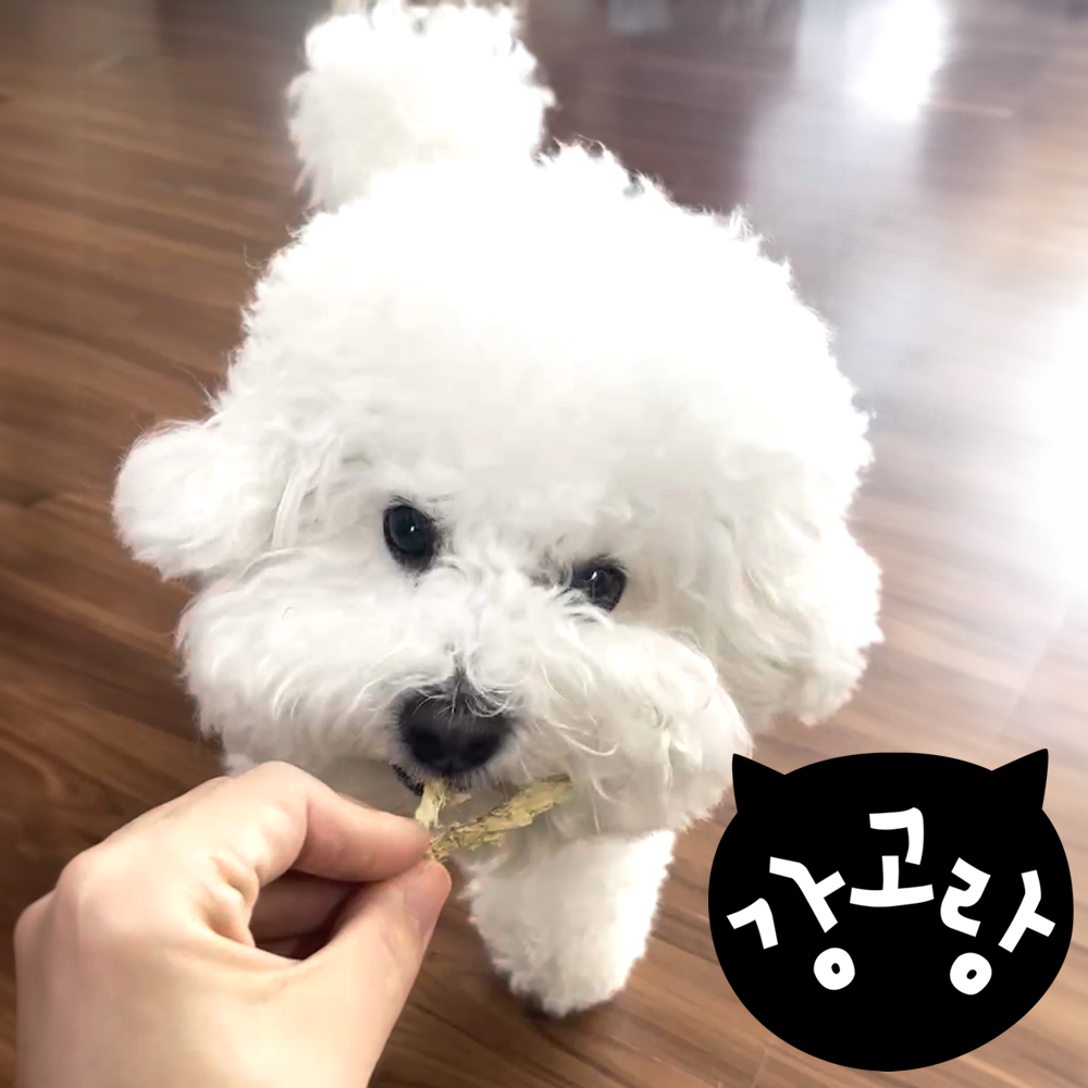 강아지 수제간식 국산 애견 반려견 간식 육포 져키 치킨 오리 황태 노즈워크 노견 노령견 - 상세 이미지 2