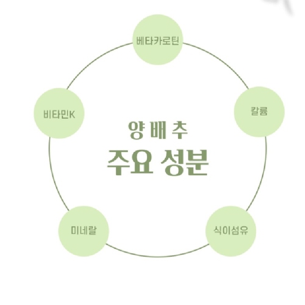 양배추환 효능 양배추 양배추정 알약형태 동결건조 약200g - 상세 이미지 5