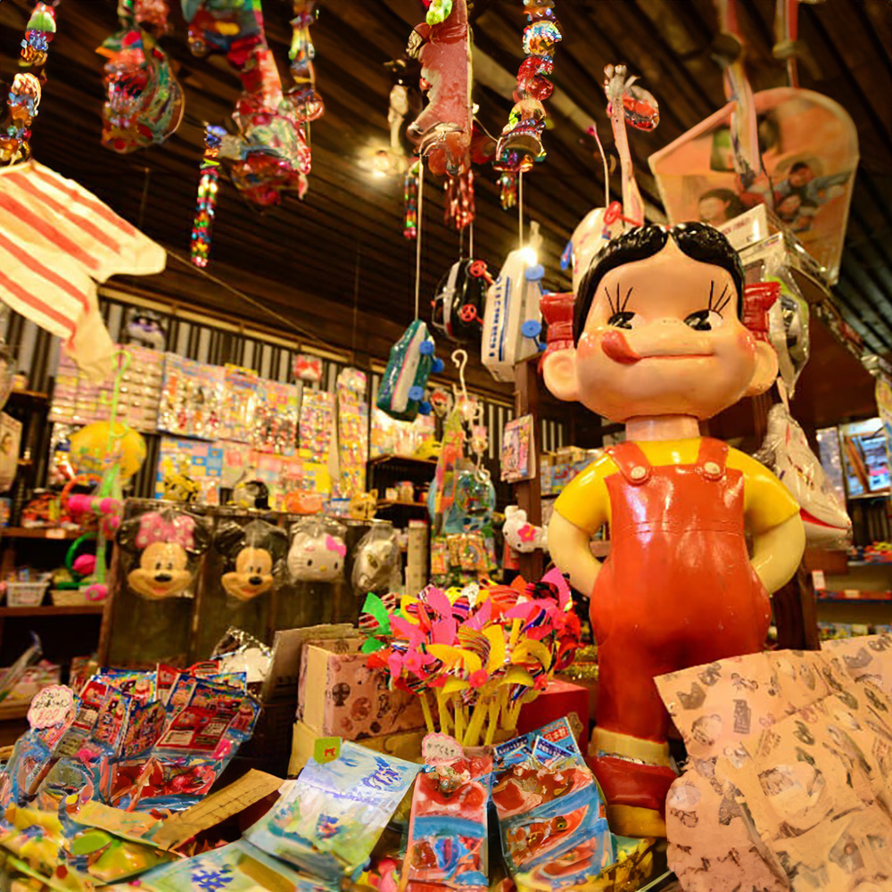 [매일출발/통행료포함] 나고야 히다 다카야마N세계문화유산 시라카와고 1일버스투어 유투어버스