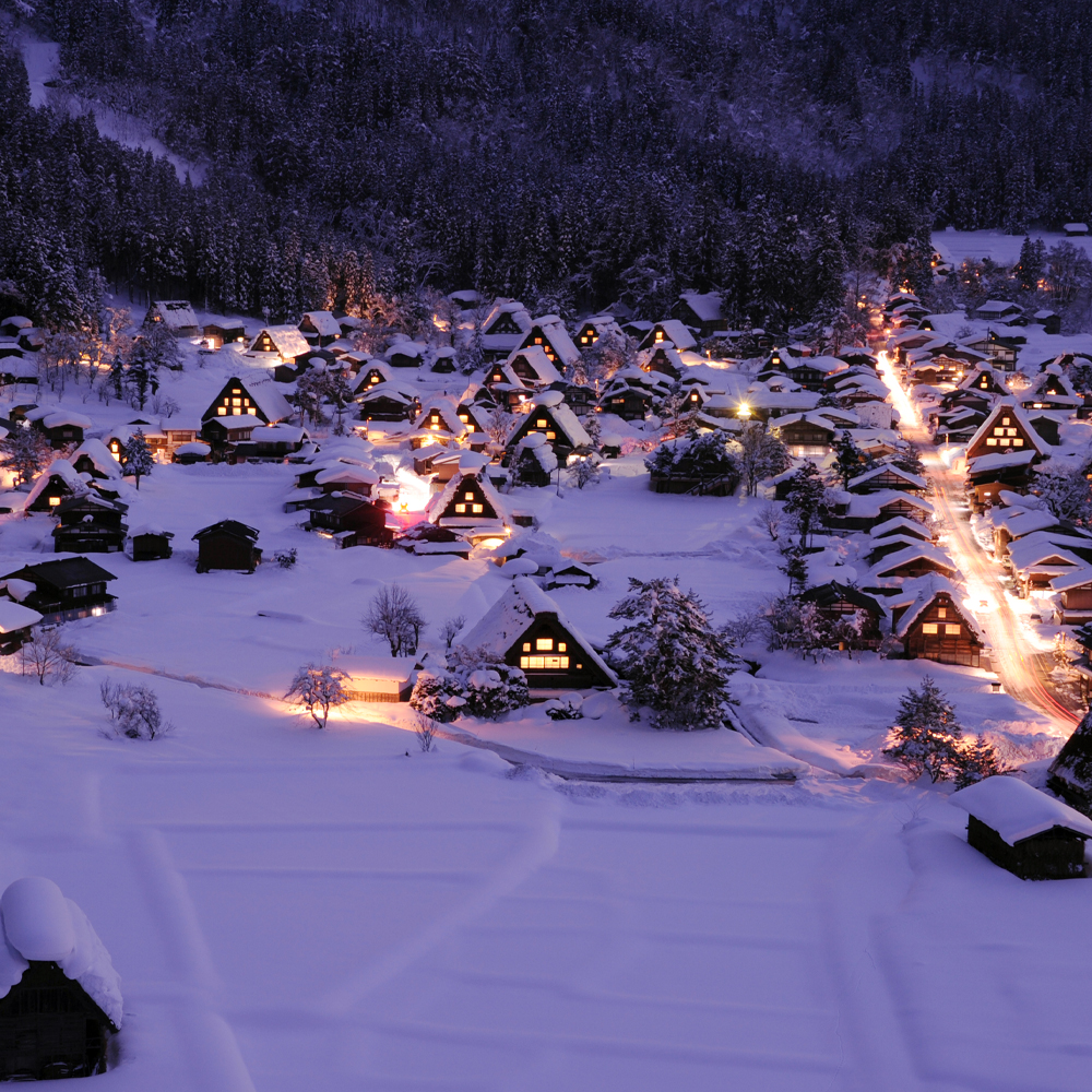 [매일출발/통행료포함] 나고야 히다 다카야마N세계문화유산 시라카와고 1일버스투어 유투어버스