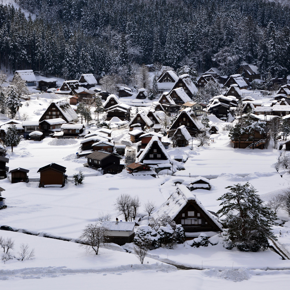 [매일출발/통행료포함] 나고야 히다 다카야마N세계문화유산 시라카와고 1일버스투어 유투어버스