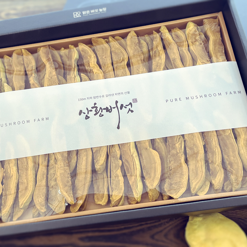 국내산 친환경 상황버섯 선물세트 특품 300g, 1개 - 상세 이미지 4