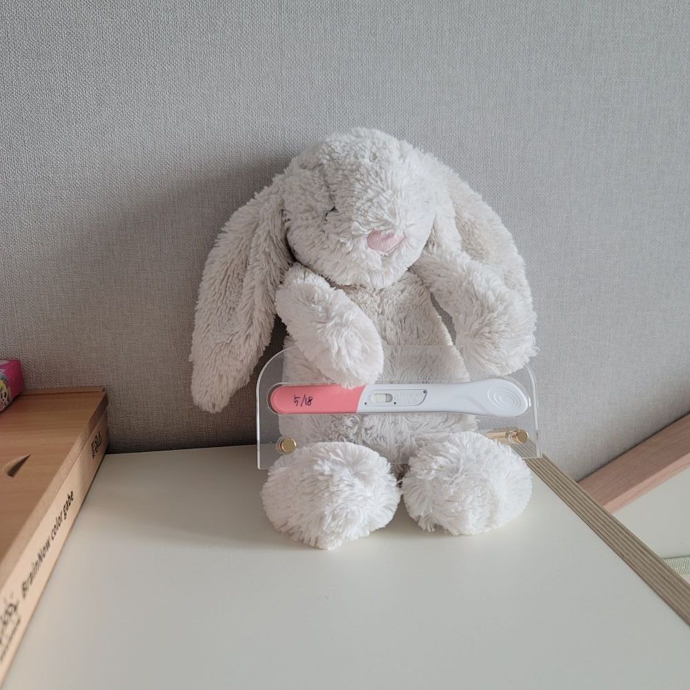 임테기보관함 임테기액자 임신테스트기보관함 임태기보관 임밍아웃키트 이미지 8