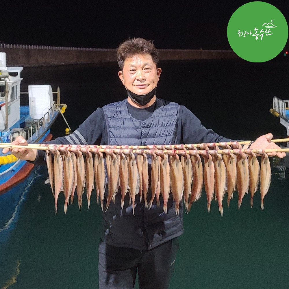 속초 양미리 알 도루묵 물가자미 기름 가자미 햇 제철 알배기 생물 이미지 6