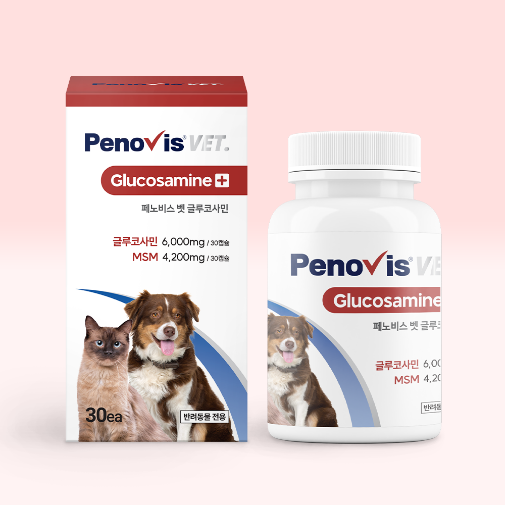 페노비스 강아지 관절영양제 슬개골 연골 관절염 고양이 칼슘 노견영양제 캡슐 벳 글루코사민