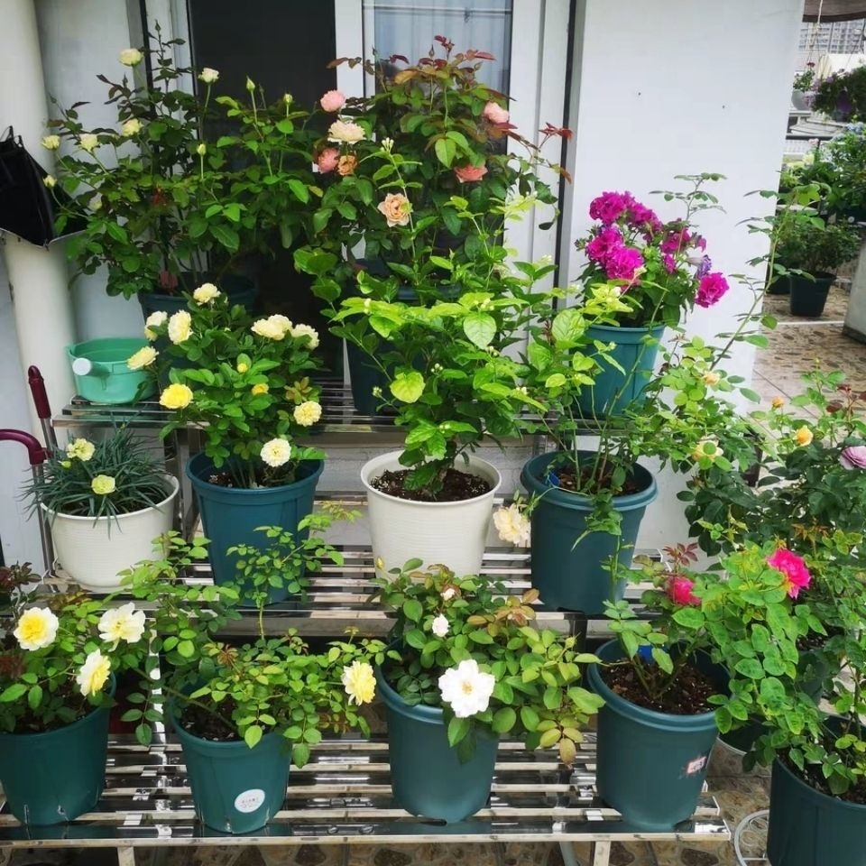 화분정리대 받침대 스테인레스 다육이 4단 발코니용 베란다용 계단식 길이 80cm 4층 - 상세 이미지 3