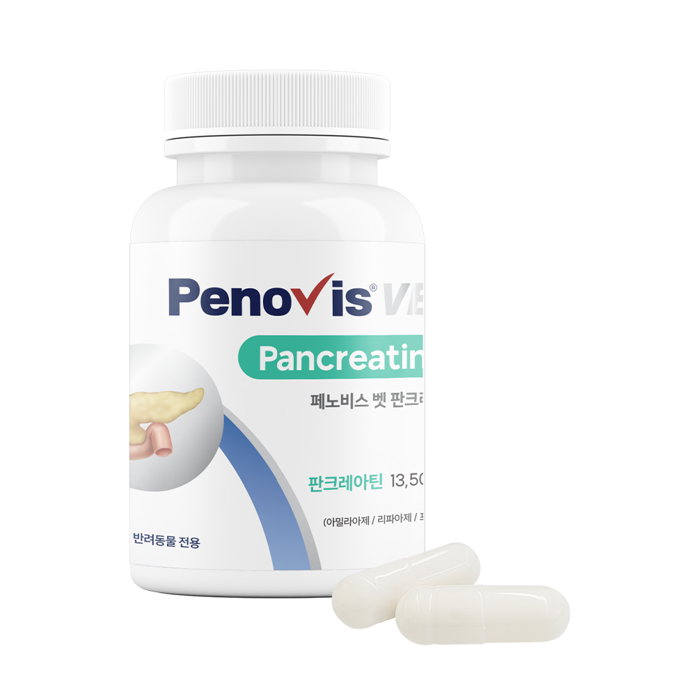 페노비스 고양이 강아지 췌장 보조제 소화 효소 소화불량 캡슐 췌장영양제 판크레아틴