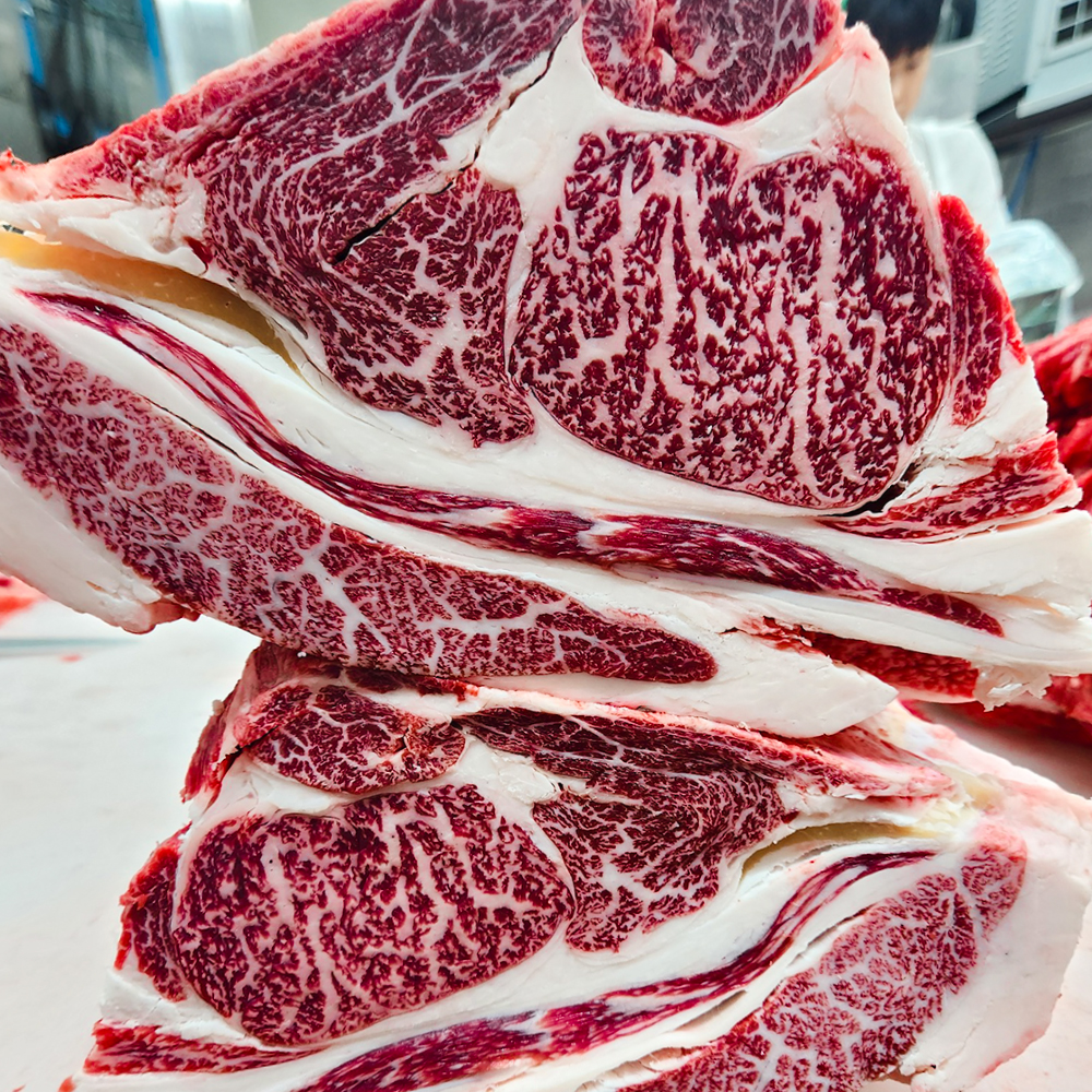 ++1등급 투뿔 한우 등심 안심 갈비살 부채살 채끝살 골라담기 구이용 모듬 선물세트