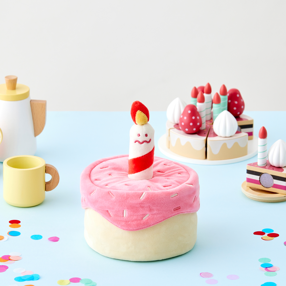 댄 강아지 고양이 생일파티 케이크 노즈워크 장난감 해피멍스데이