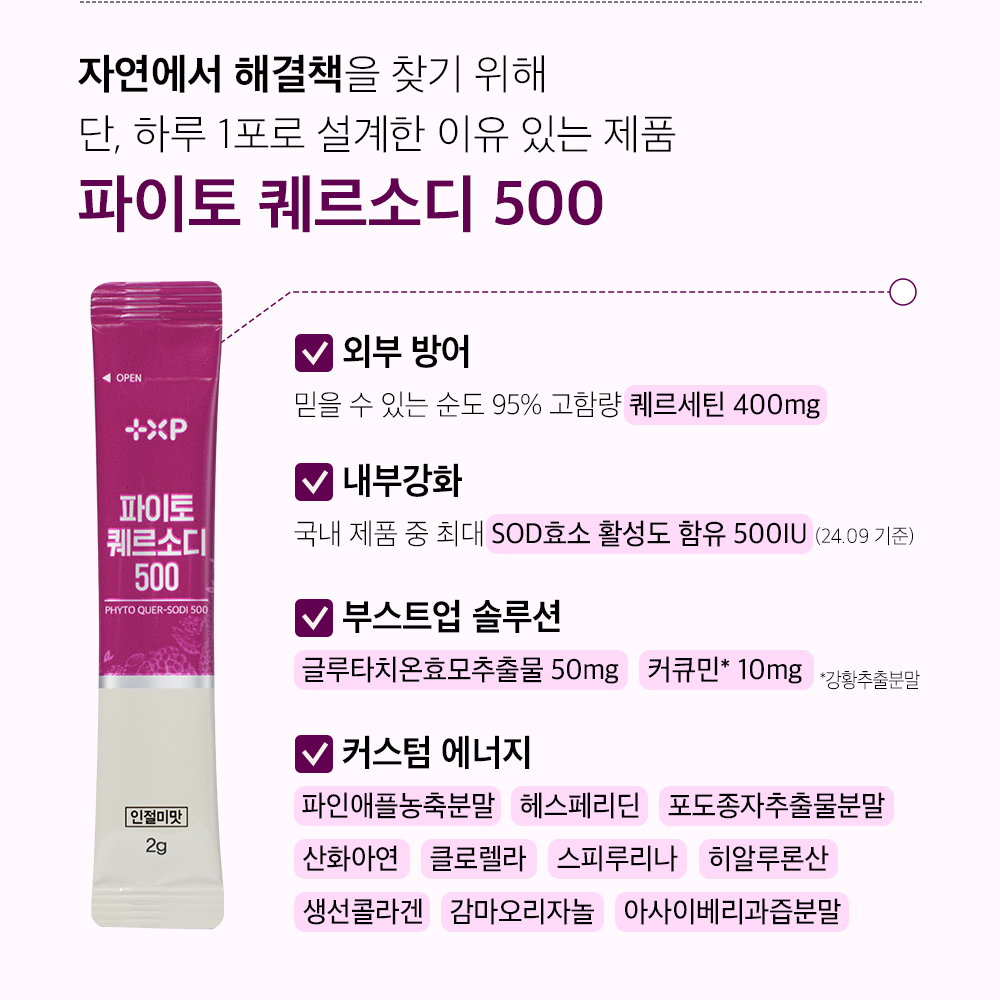 2개/파이토 퀘르소디 500 퀘르세틴 환절기 파이토케미컬 식물영양소 퀘르세친 - 상세 이미지 3