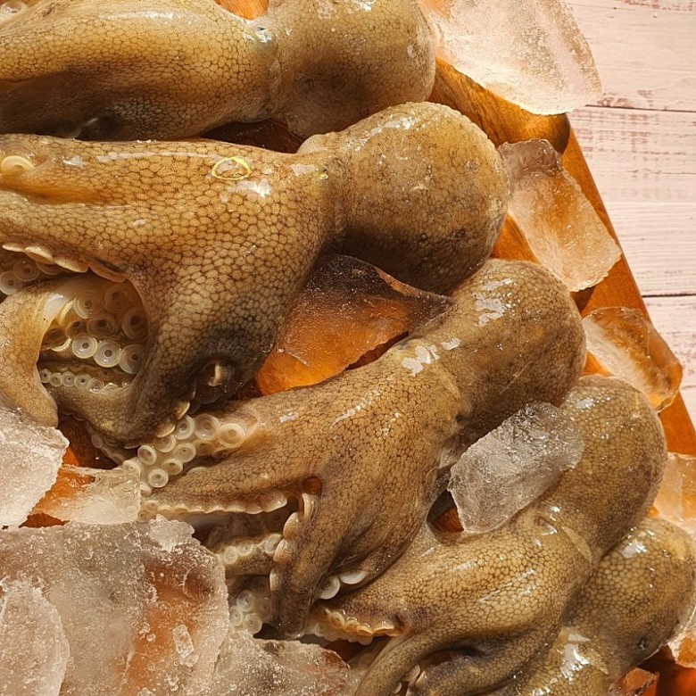 주꾸미 쭈꾸미 1kg 제철 냉동 활 - 상세 이미지 2