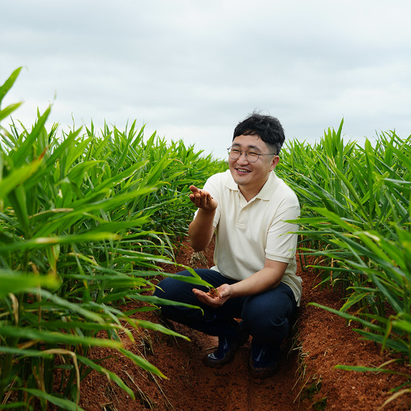 팔팔호랑이 생강청 생강차 생강진액 450g