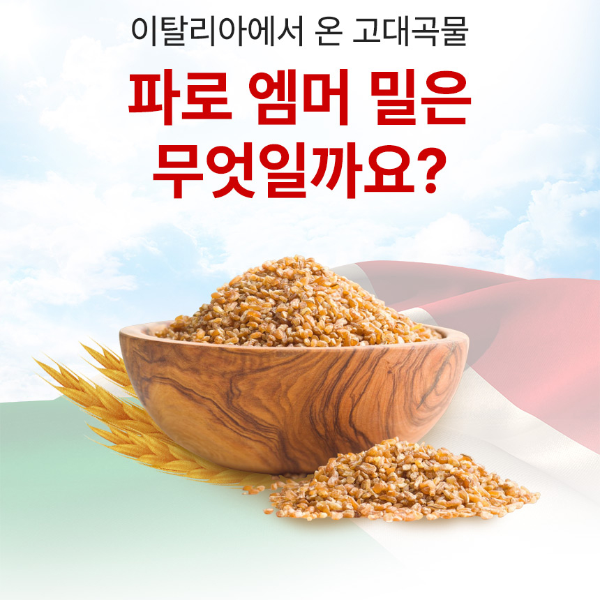 파로 효소 발효 엠머밀 역가수치높은 파로복합엔자임R 분말 가루 파우더 스틱 효능 고구마맛 - 상세 이미지 5