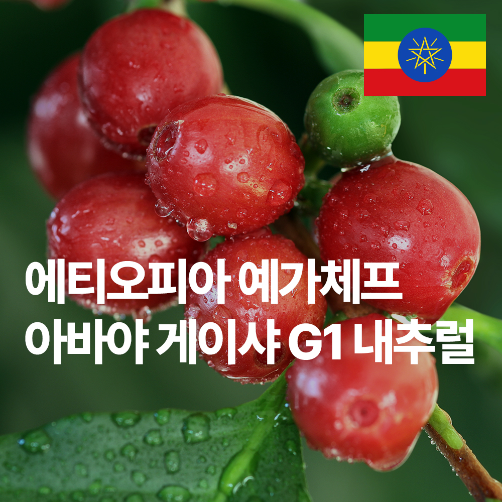 [커피생두] 에티오피아 예가체프 아바야 게이샤 G1 내추럴 1kg, 3개