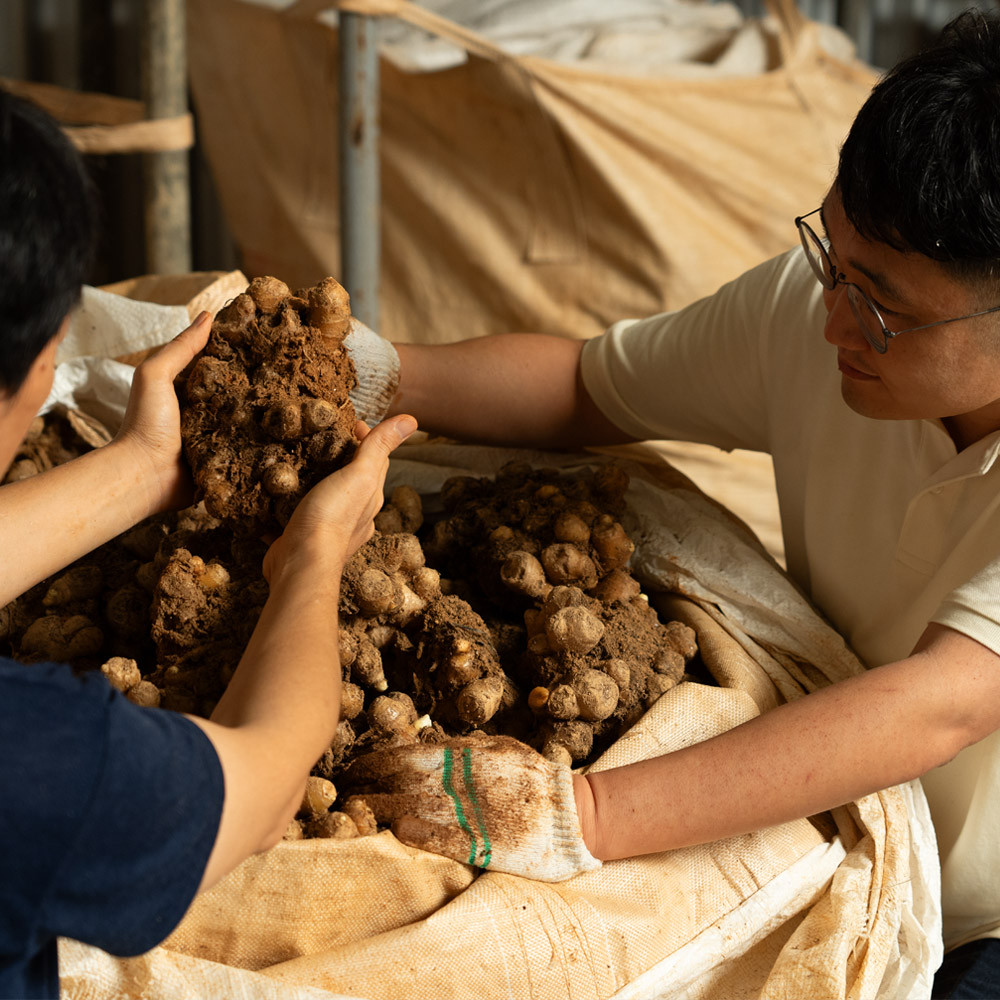 팔팔호랑이 생강청 생강차 생강진액 450g